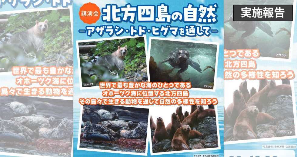 札幌にて「北方四島の自然ーアザラシ・トド・ヒグマを通してー」講演会を開催